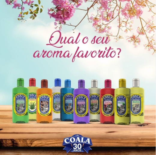 LIMPADOR COALA NO RECIFE 180426 1021